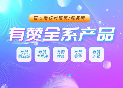 有贊陜西服務商,西安小程序定制開發